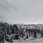 El domini esquiable de Port Ainé després de la nevada de dijous passat. - FGC