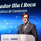 Illa ahir durant la presentació del programa per a la implantació de la IA. - ACN