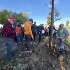 La plantada de l’arbre va congregar un bon nombre de veïns. - AMICS DE LA BANQUETA