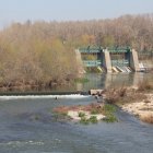 El riu Segre a Lleida ciutat, amb les comportes de la Mitjana al fons.