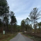 L’actuació compta amb una inversió de 130.000 euros i ha rebut ajuts d’Agricultura. - C. C. SOLSONÈS