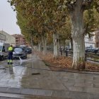 Un treballador de l'ajuntament de Mollerussa neteja el carrer del Canal.