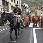 Transhumància de cavalls de Sant Joan de l’Erm a Enviny i Llarvén - EDGAR ALDANA