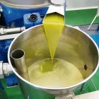 Els trulls es troben en la fase àlgida de la campanya.