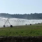 Un pivot rega per aspersió un camp de farratge a la demarcació de Lleida.