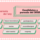 Tria la paraula de l'any