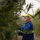 JARC reclama mesures urgents davant de la seua denúncia. - JARC