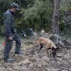 El Cos d’Agents Rurals mostra com es treballa sobre el terreny amb els agents canins. - EFE/MARTA PÉREZ