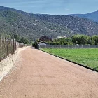 Imatge de part del camí on s’actuarà. - C. SANS