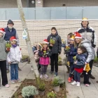 Les famílies que van enjardinar ahir escocells al carrer Camí de Picos. - PAU PASCUAL PRAT