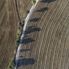 Parcel·les agrícoles catalanes recollides amb la DUN.