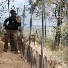 Els agents rurals inspeccionen la tanca perimetral en una zona forestal de Rubí. - COMÚ DE LLEIDA