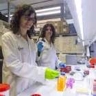 Les germanes formen part del Grup d’Investigació de Biomarcadors en Càncer (GReBiC). - JORDI ECHEVARRIA