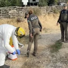 Desinfecció a la zona de vigilància de la PPA. - ACN