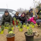 La fundació Aspros i l’empresa Maderas Obiols van col·laborar a la plantació. - JORDI ECHEVARRIA
