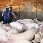 «Serà un any dur, però aquesta crisi és diferent d’altres pestes»