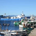 Barques de pesca amarrades al port de Roses. - ACN