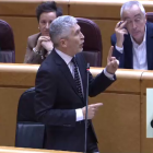 Fernando Grande-Marlaska es justifica al Senat.