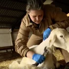 Imatge del reportatge que emet Cuatro aquesta nit. - MEDIASET