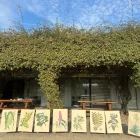 Fragments de la mostra ‘Plantes migrants’. - ARBORÈTUM