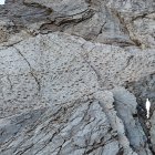 En el Parque Nacional de Stelvio, en los Dolomitas italianos, se ha descubierto lo que todos llaman ya el "valle de los dinosaurios": miles de huellas fósiles estampadas en las paredes verticales inaccesibles de la montaña por los llamados 'prosaurópodos
