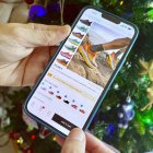 Un ciutadà fent una compra en línia.