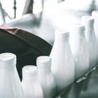 Mehrshad Rajabi / Unsplash