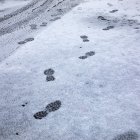 Rafael Bastante - Europa Press