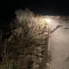 Imatge del camí asfaltat on es va produir el sinistre mortal. - SEGRE