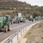 Els manifestants van decorar els tractors amb pancartes i fins i tot cranis d’animal. - JORDI BONILLA