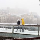 Neu a Lleida per la borrasca Filomena el gener del 2021.