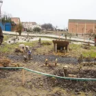 Nando Farré al costat del pessebre del parc del Reguer, que munta amb material reciclat des de fa quatre anys. - LAIA PEDRÓS