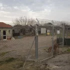 Actualment acull 61 gossos, dels quals gairebé la meitat són sèniors. - LAIA PEDRÓS