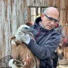 Un dels exemplars. - <B>TRANSICIÓ ECOLÒGICA</B>