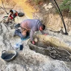 L’equip arqueològic treballant en l’exhumació d’una fossa a Alentorn (Artesa de Segre). - DEPARTAMENT DE JUSTÍCIA