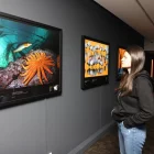 Exposició ‘Colors del món’, amb fotos de la ‘National Geographic’. - MAGDALENA ALTISENT