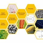 Biologia computacional per desxifrar la vida