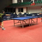 A la imatge, un dels partits de l’hongarès Majoros.