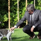 Puigdemont fa set anys que és a Bèlgica pendent de la justícia espanyola i europea. - ACN