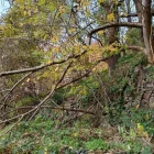 Hi haurà actuacions de desbrossament i consolidació de murs. - AJUNTAMENT DE LA VALL DE BOÍ