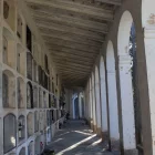 Vista de la part del cementiri en la qual s’actuarà. - LAIA PEDRÓS