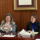 La consellera de Territori, Sílvia Paneque, ha presentat l’avantprojecte de la nova Llei d’alta muntanya al Conselh generau d'Aran.