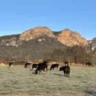 El conseller va visitar ahir diverses explotacions a l’Alt Urgell. - @OSCARORDEIG