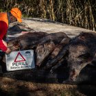 Una batida de caza en una imagen de archivo.