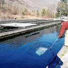 Era piscifactoria de Les se dedique ara produccion de caviar. - SEGRE