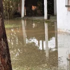 L’accés a una torre destrossat, una altra de negada, un preservatiu i una rata morta arrossegats per l’aigua.