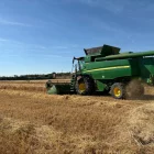 Les assegurances d’herbacis van ser les que més van incrementar el capital, un 20%.