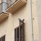 L’ajuntament vol que es tapin tots els orificis per on puguin entrar els coloms.