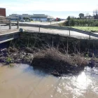 Séquia amb herbes i residus - AMADO FORROLLA