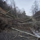Arbres i terra ocupant la calçada de la carretera que va a Sant Joan Fumat i altres nuclis de les Valls de Valira.